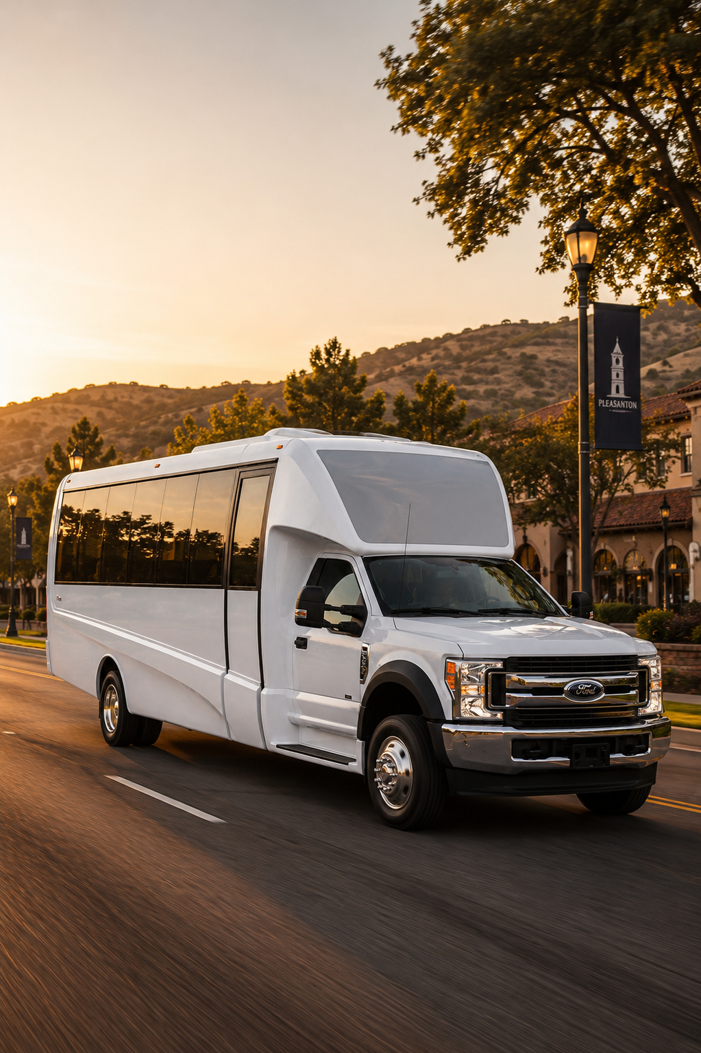 Pleasanton limo rental service